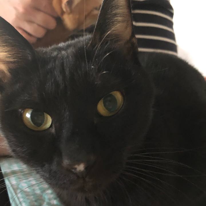 Fcf5a175 a8f6 4c52 a757 ec4093b4f1e3 1661549739363