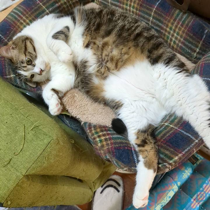 Fcf6139c 87bc 4e7a a1c7 d5d4dfa434e4 1698290798228