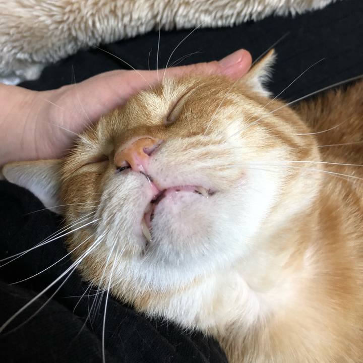 Fcf62180 cd7d 4e6d 95eb 7236eebf692c 1583333311576