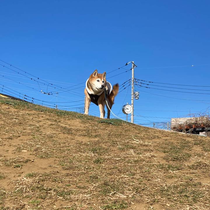 Fcf62464 e26a 4843 9702 86cb65b98911 1739151025223