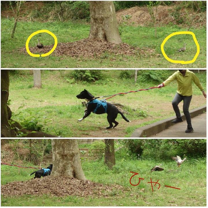 Fcf67241 7871 4b61 8c18 ee28c42f150d 1619310989975