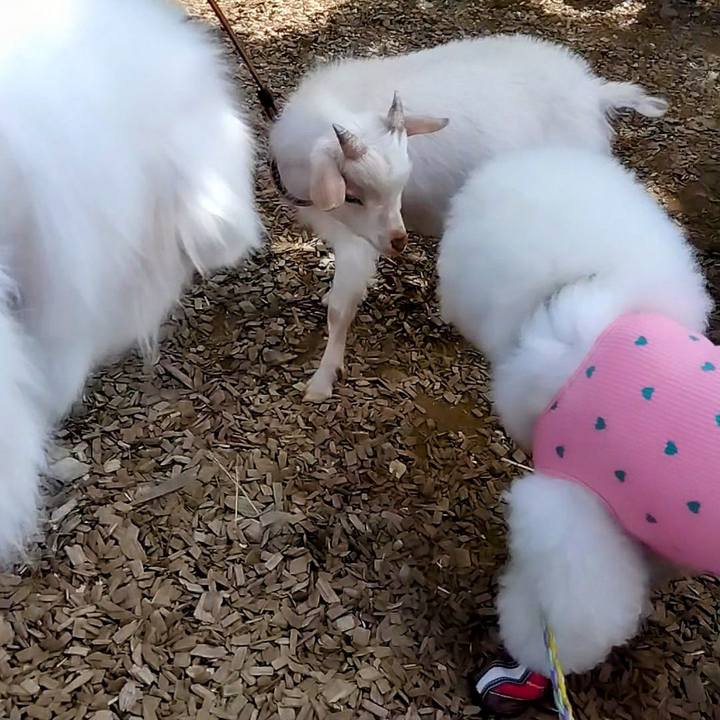 Fcf68a0f 3fb9 4f51 a969 a91b2e625eb7 1683407147674