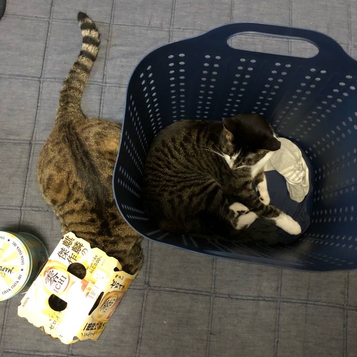 Fcf6a326 f684 44ed 8950 42daa4ba84e8 1626638782870