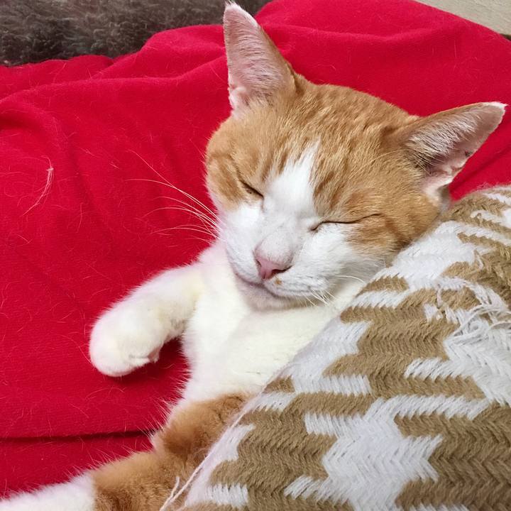 Fcf71491 77c2 4491 9d95 5045f5809064 1571897296949