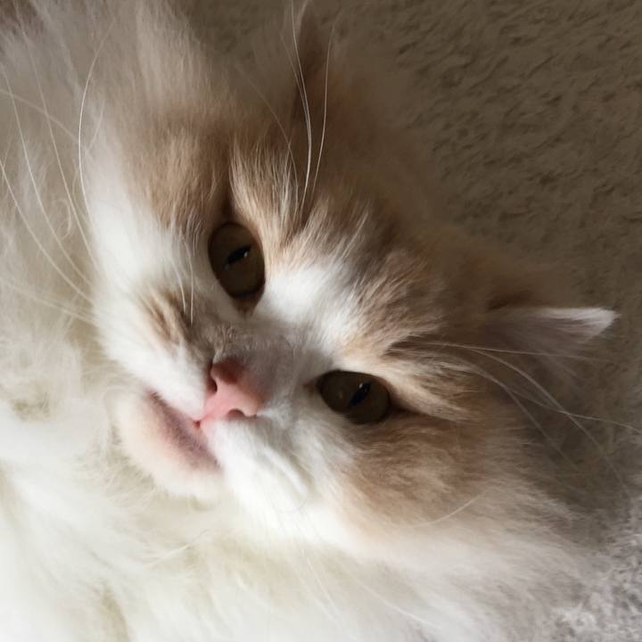 Fcf723a4 bb94 41d3 a795 927e0f1ddf37 1524325061547