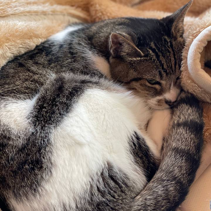 Fcf74266 1ce7 439d bc8c d5bd42dac12d 1647474285670