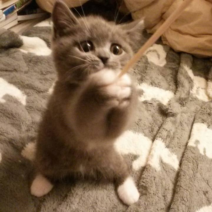 Fcf74b51 9461 41c5 af31 c1bb99b6548f 1530536460760