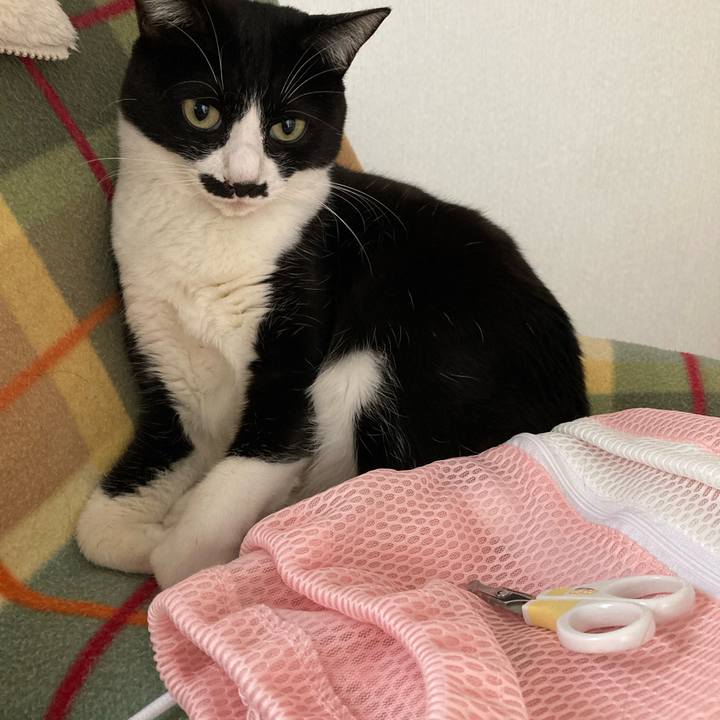 Fcf7a66c 2ee9 479f 97b7 a70f5b08bbe4 1733211044917