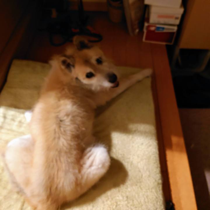 Fcf7d723 becc 43d6 a65f c04a24a74c2d 1626015876953