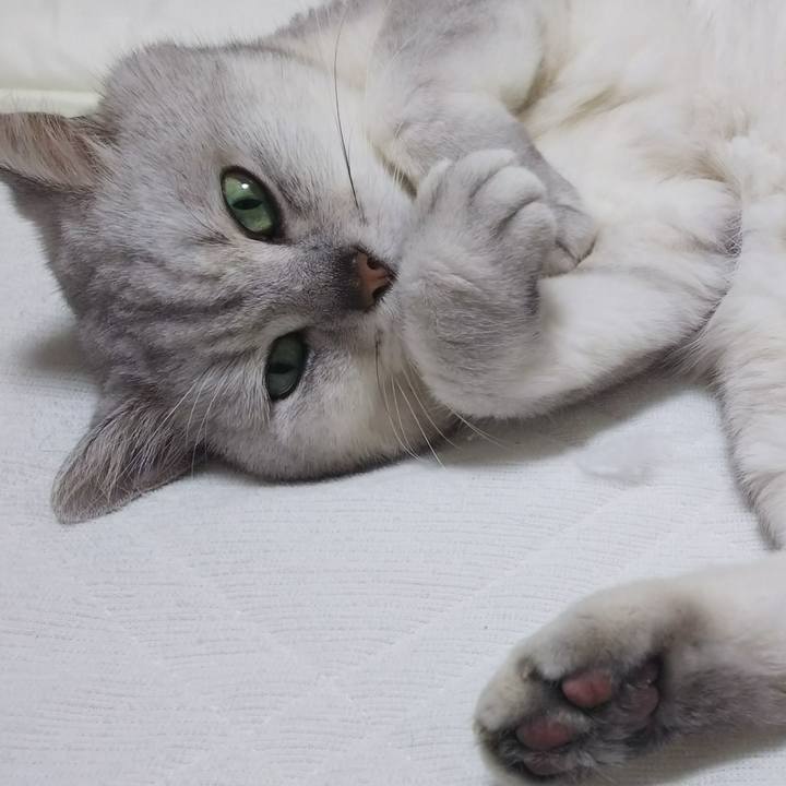 Fcf81fc7 8422 4985 8f97 78c549e922b4 1529404275473