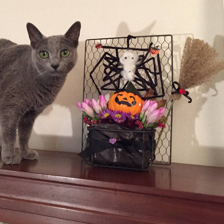 Fcf84849 4ad8 4ea9 9375 8429cdcbc7a4 1540025127875