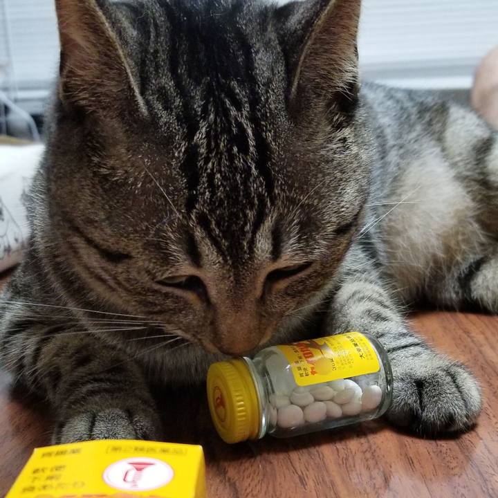 Fcf85407 2dd9 47c5 b536 d776f577c3a5 1688909788879