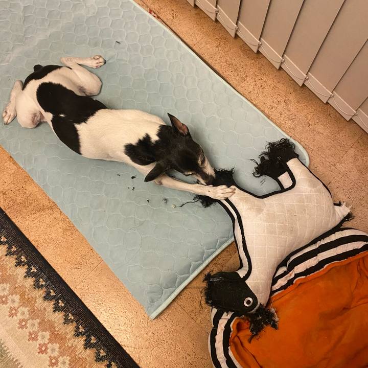 Fcf863a2 4a24 4ba4 9e31 81c81a84592f 1626444214694