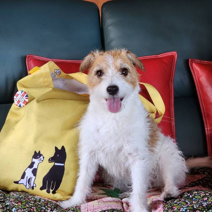 Fcf8b61f 7cf7 42f9 8283 58764e9a713f 1694843468966