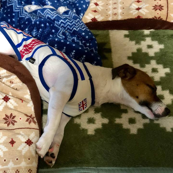 Fcf8b7b7 d36b 4642 8455 a652316d9fd2 1568384139550