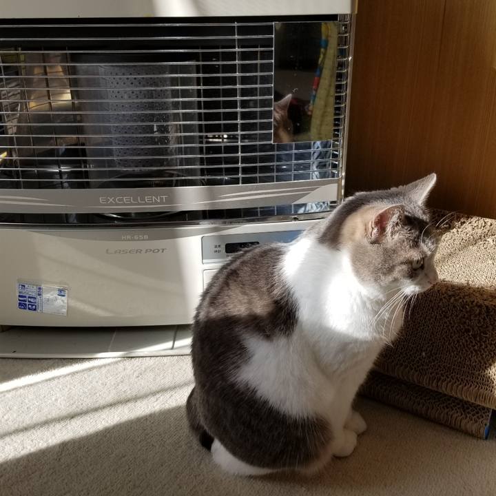 Fcf91424 dc47 47ef b808 e193d94414c6 1631750381200