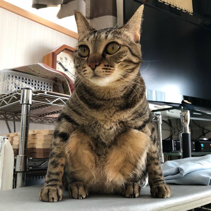 Fcf931ab 898b 4ed8 b195 cd44a01f08a0 1552507062801