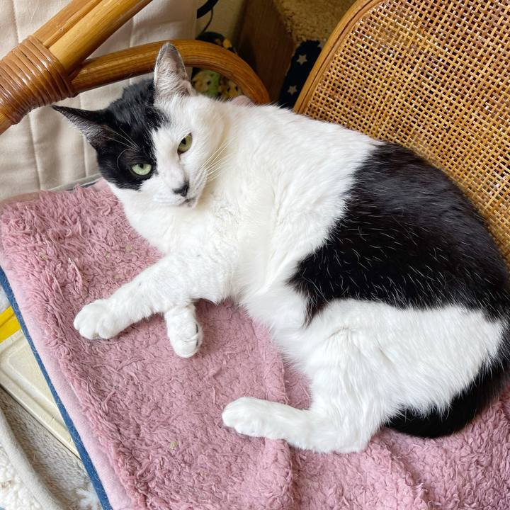 Fcf9339d b394 4d96 a55e 1a37651c0a0b 1769644467638