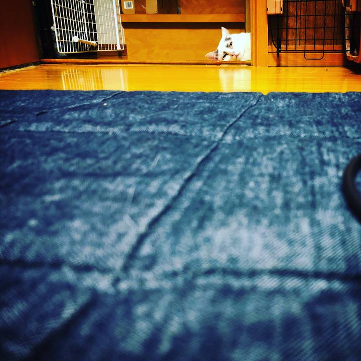 Fcf93db9 eded 4316 95dc 48f3120e4580 1529919802216