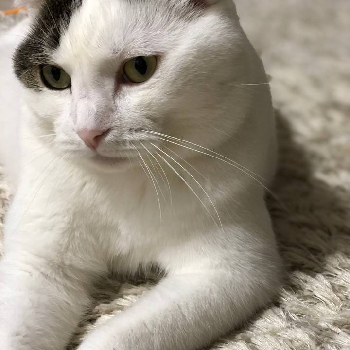 Fcf941c0 fbe1 4f5d af62 dfb9ee86febe 1533043883967