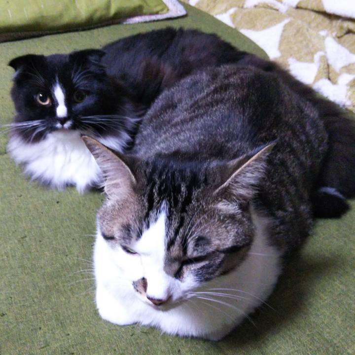 Fcf95ad0 4a72 4798 ac74 1357af8fab0d 1651178933713