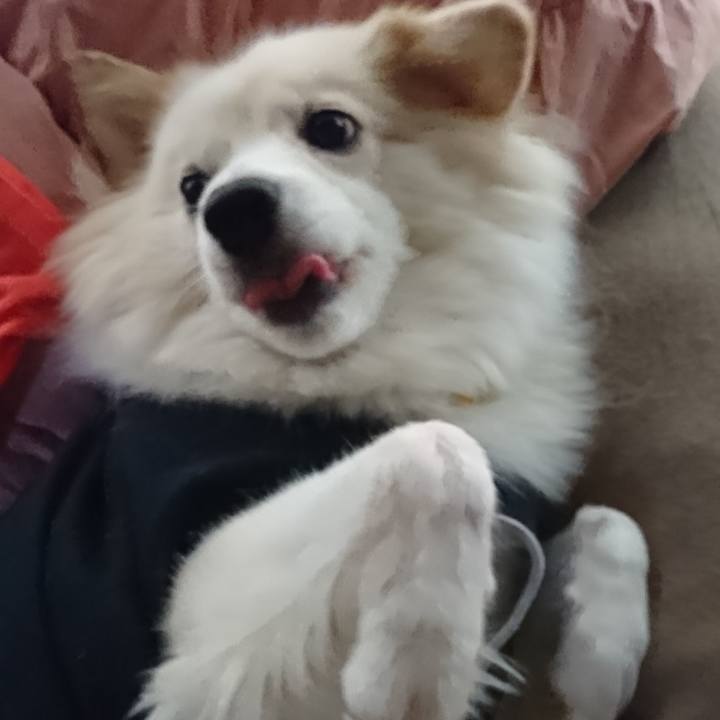 Fcf96c63 fb9a 489c 9ca9 786d08e5ebb4 1539989212667