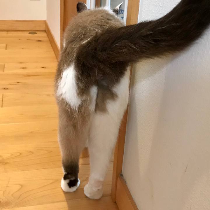 Fcf9dfb0 327d 42dc 97f5 baae4fd7c8c6 1594021734187