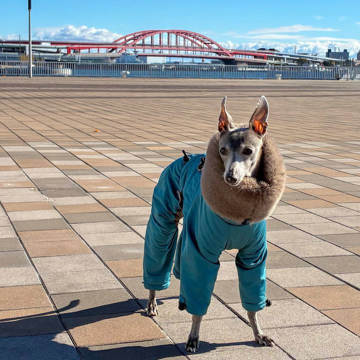 Fcfa0630 ca59 443d aeb9 9436af394e6a 1769165574423