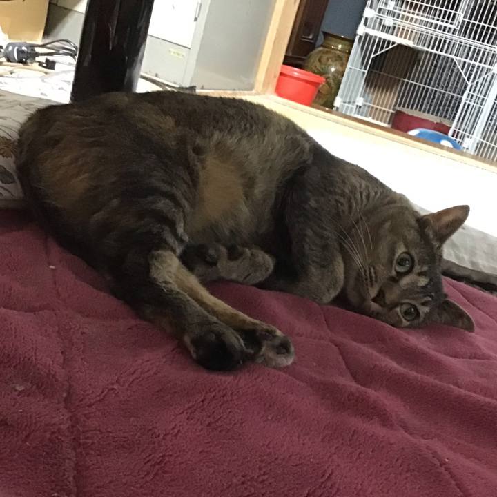 Fcfa1747 b485 4aaf 834d 51bde14eb26f 1719572706481