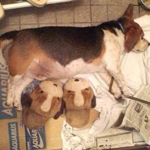 Fcfa5dc0 559b 4c07 8b75 2d0b07feaf3f 1728391735628