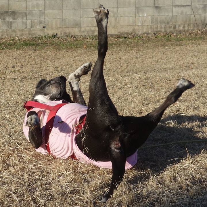 Fcfa89a7 b0e7 406c b40f 677a03804618 1673313270031