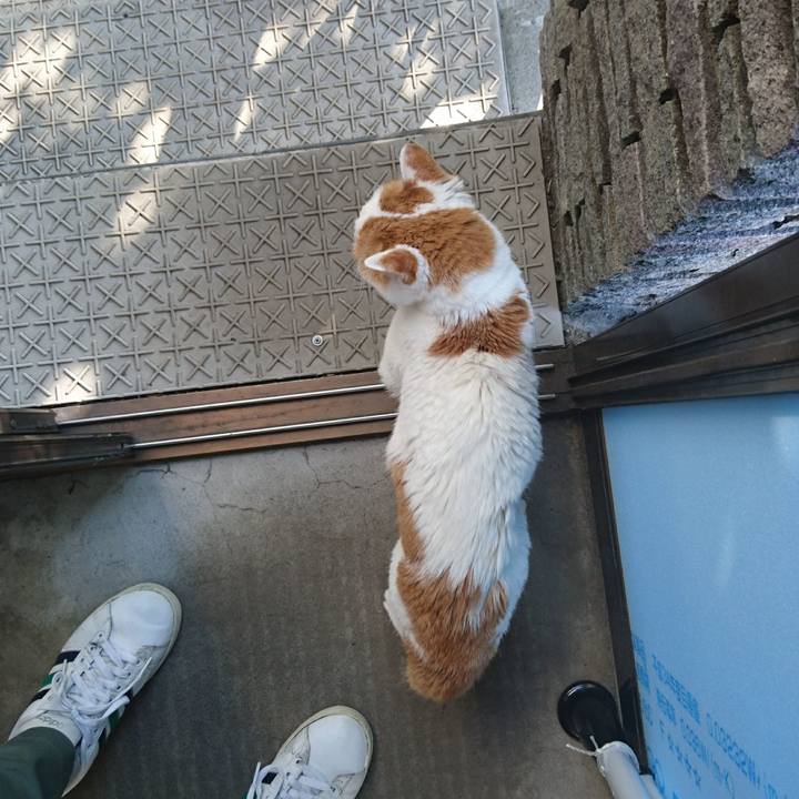 Fcfa92f8 15c3 43e9 abcb 298f1f8f1819 1657428359990