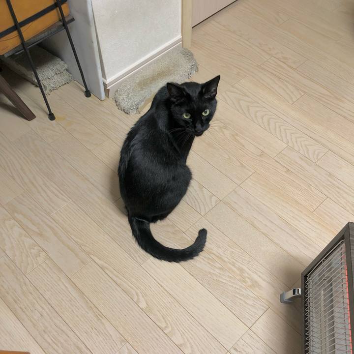 Fcfaa6dc 011a 4a45 8ae9 80bee9531a09 1637846380391