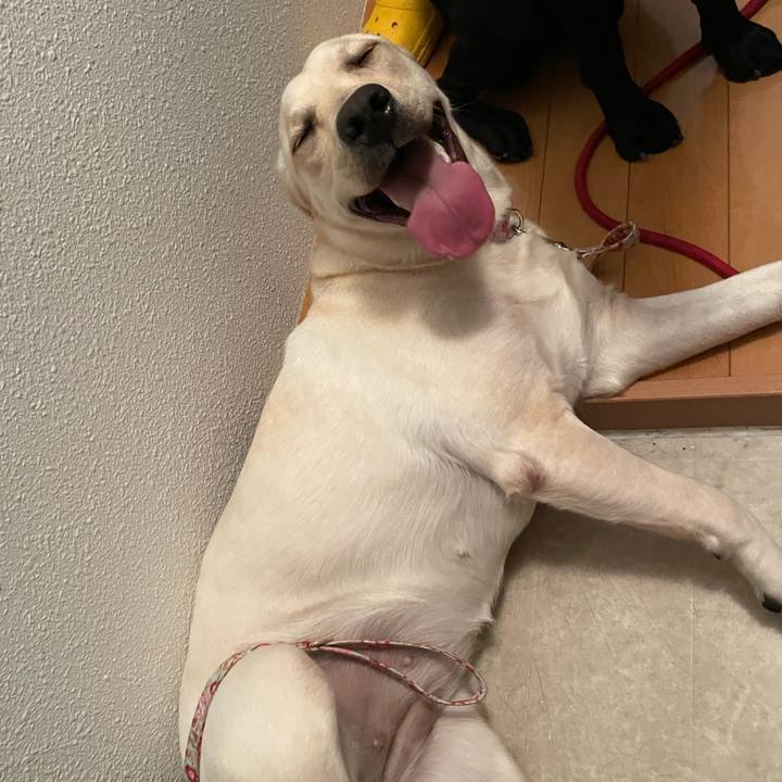 Fcfaae3c 09fc 408b bd6f 3c9eb699c4e0 1638179063137