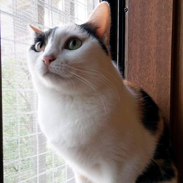 Fcfab7d2 562c 4e30 8ed6 d0b2f2a16399 1515546071678