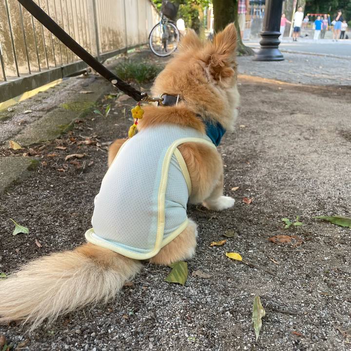 Fcfab976 835c 45b0 85ec 5bf12e1304ec 1753454082128