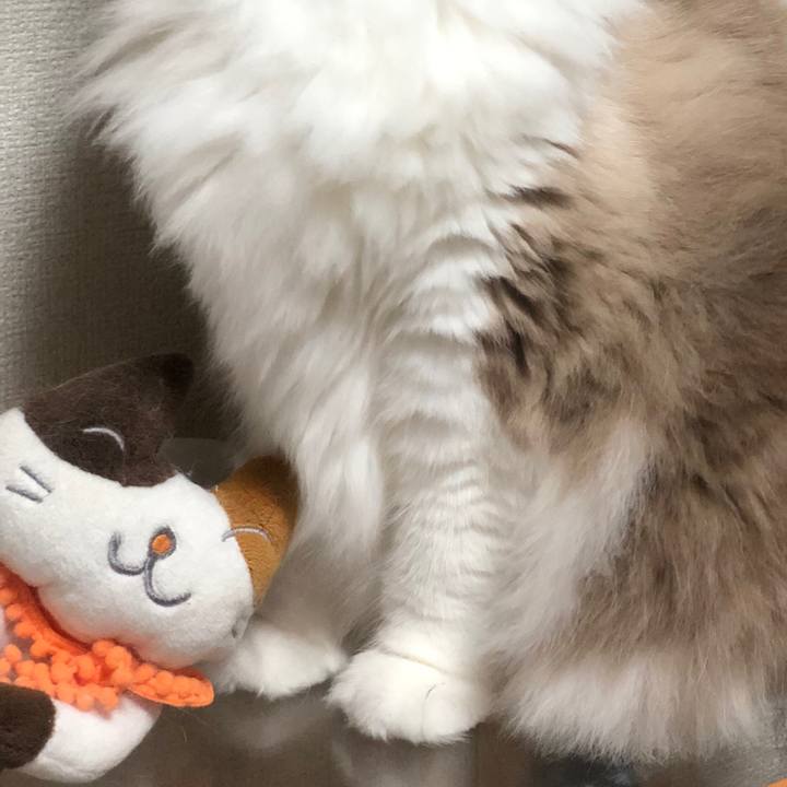 Fcfb110f ffa7 440a 8d5a c5bd1e7ef1e4 1544779170659