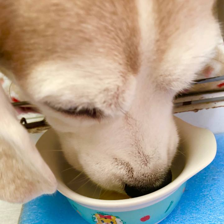 Fcfb3095 c2ed 440b 896a e7762e5d9241 1649224647362