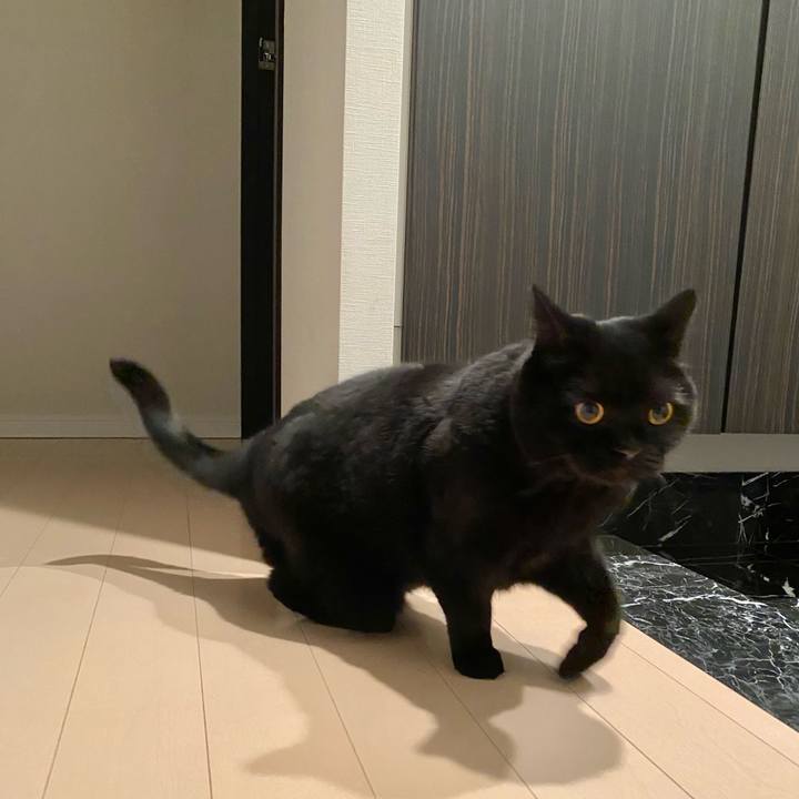 Fcfb7219 83fe 4dfd 8820 6304466f6e95 1676287592681