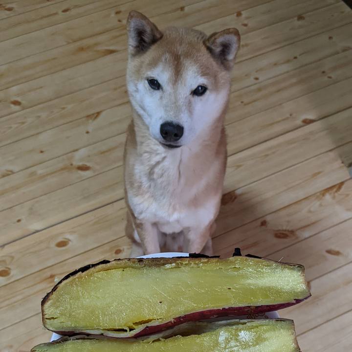 Fcfb8ea5 fb94 4374 90e4 9eec0e5af322 1704955092778