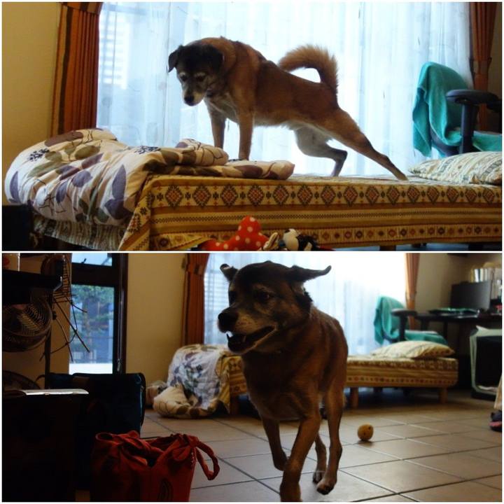 Fcfb9376 2486 4d35 85c0 3665ffc6b5b0 1542936063290