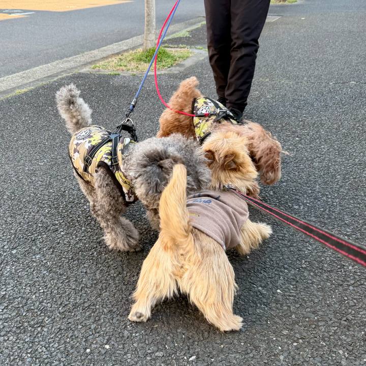 Fcfba74b 9371 4693 801a 492f5fad4ea4 1773653471732