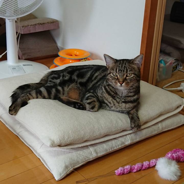 Fcfbc126 5dbe 4e6c a1dc 38e25c014278 1559534187269