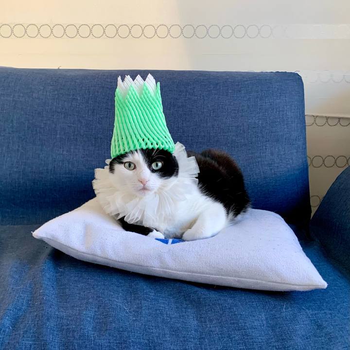 Fcfbe043 f5e7 42c3 9819 233bb91ff315 1638488986023