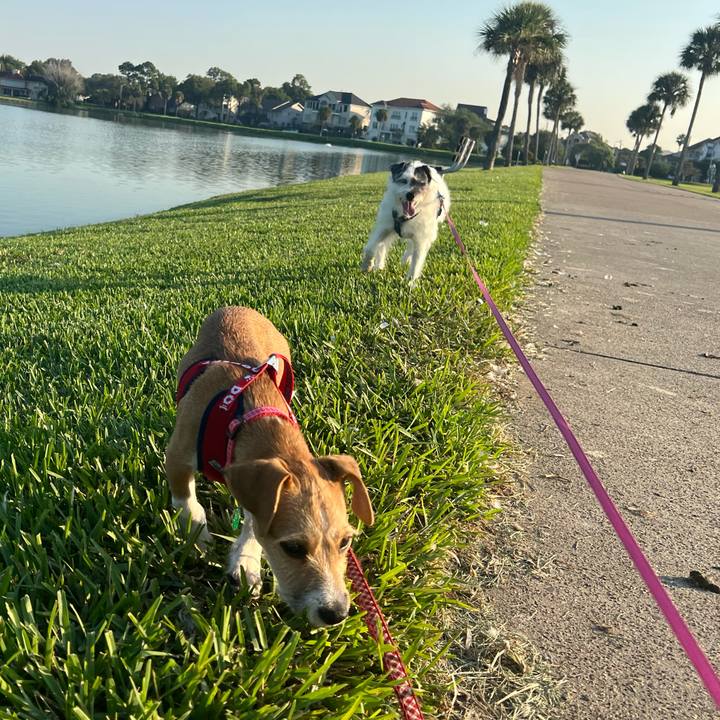 Fcfbe249 cd39 41d5 89a0 4462eddf29ff 1663972493186