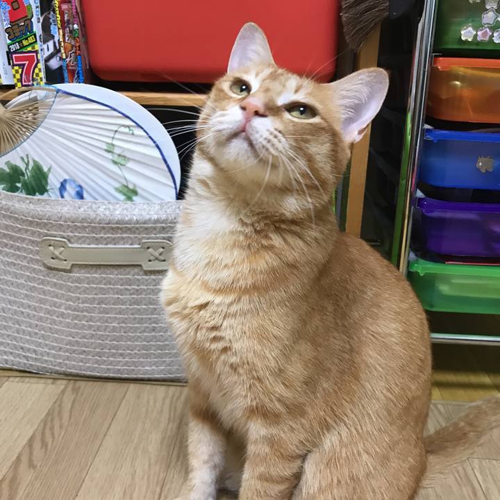 Fcfbecea 16f4 46f6 9bc5 142706c2dcf8 1532353917936