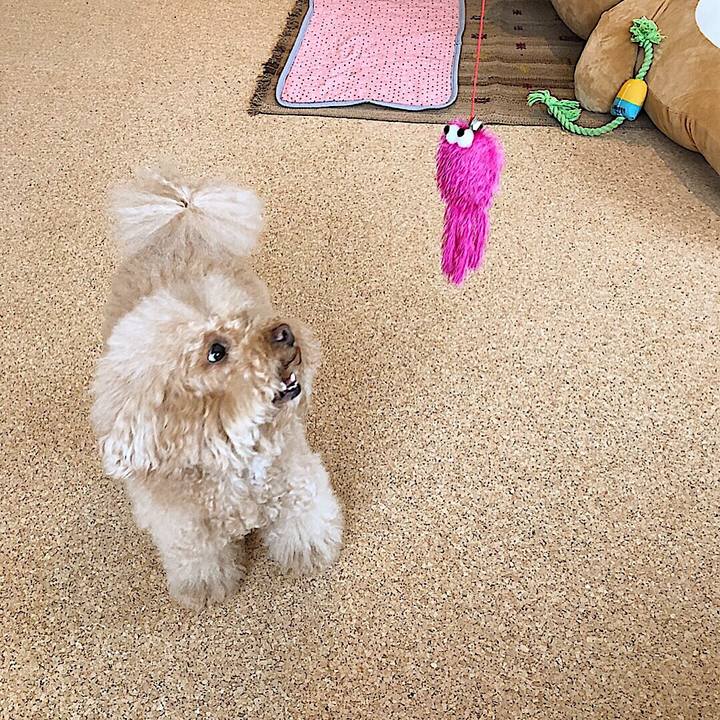 Fcfbf0d0 e245 42ec 823d c1edd4270239 1527654237599