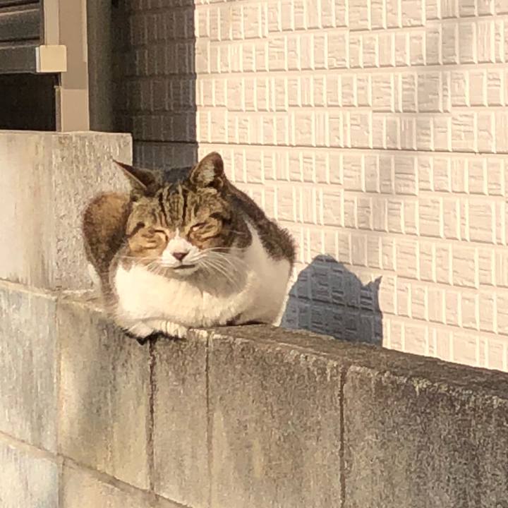 Fcfbf20c f004 4cb7 ba37 127656d863d9 1519718915679