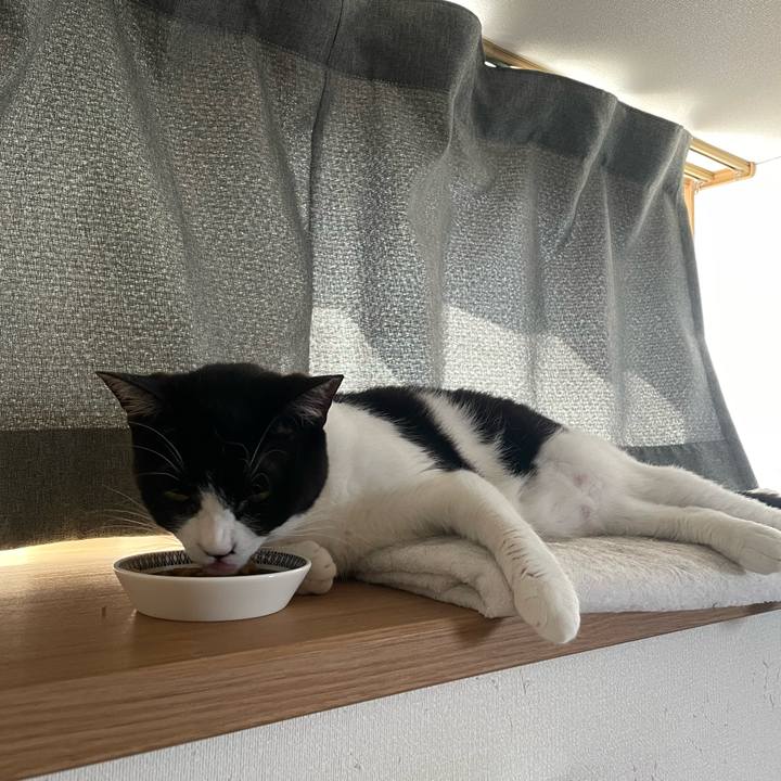 Fcfc1763 5579 4919 863c 2c747c2e57f6 1749208019007