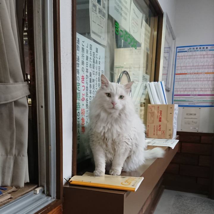 Fcfc2678 b526 4668 9fea 42556fffbd03 1557181711482